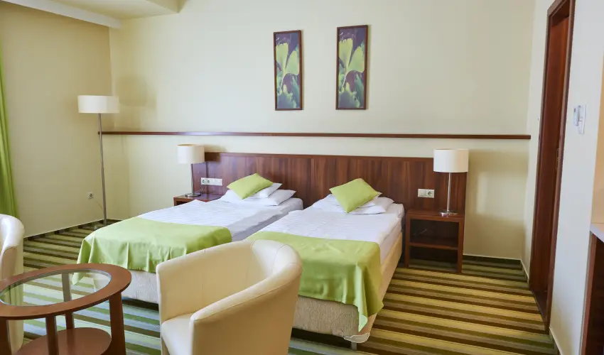 Hotel Ginkgo Hdmezvsrhely - Hsvt 