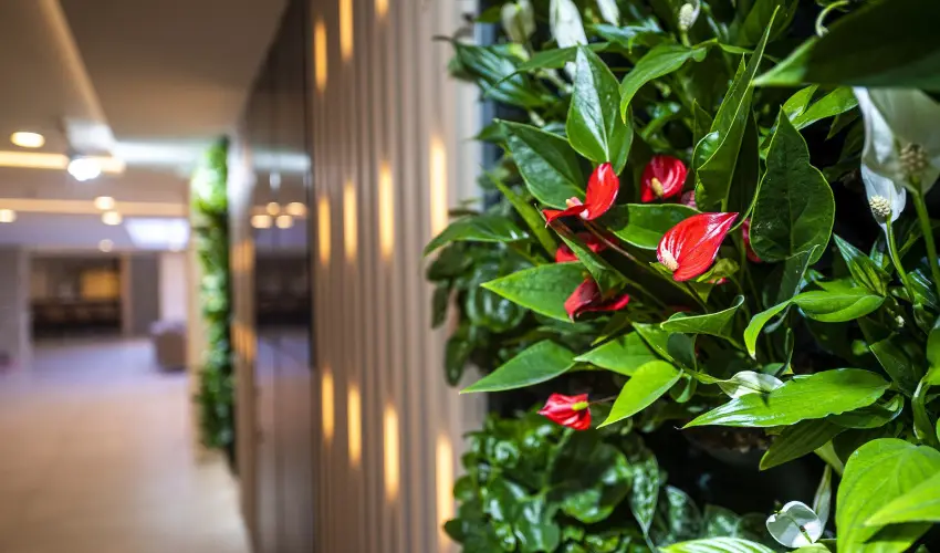 Greenfield Hotel Golf & Spa Bk, Bkfrd - Hsvt                                                                                                                                                                                                                                                         