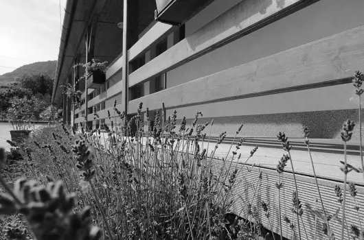 Hotel Halszkert - Mrcius 15.