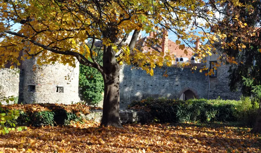 Hotel rottk Kszeg - Kisvrosi hsvt (min. 2 j)