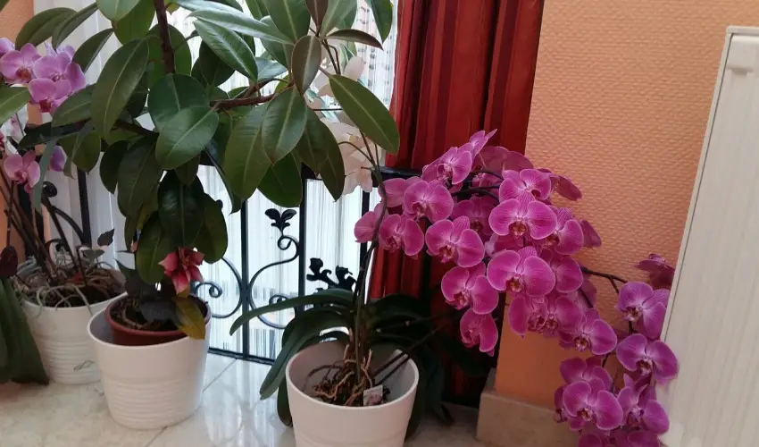 Hotel Isabell Gyr - Hsvt 