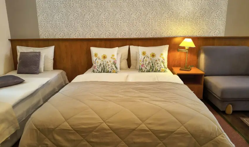 Hotel Isabell Gy�r - H�sv�t 