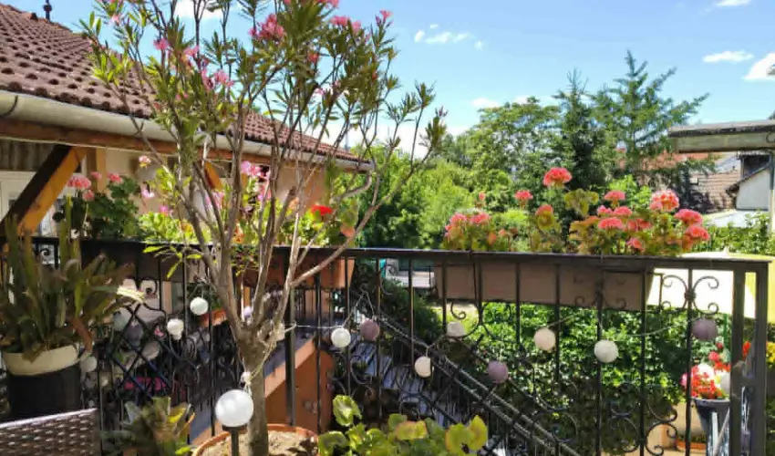 Hotel Isabell Gy�r - H�sv�t 