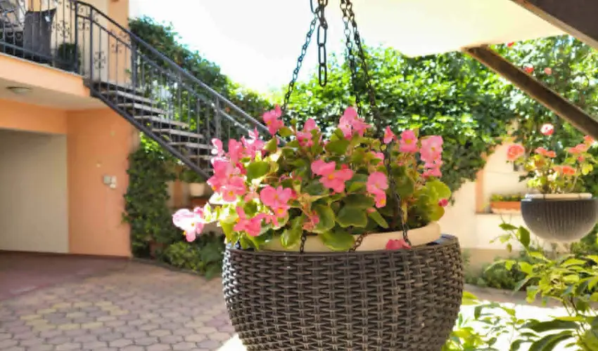 Hotel Isabell Gy�r - H�sv�t 