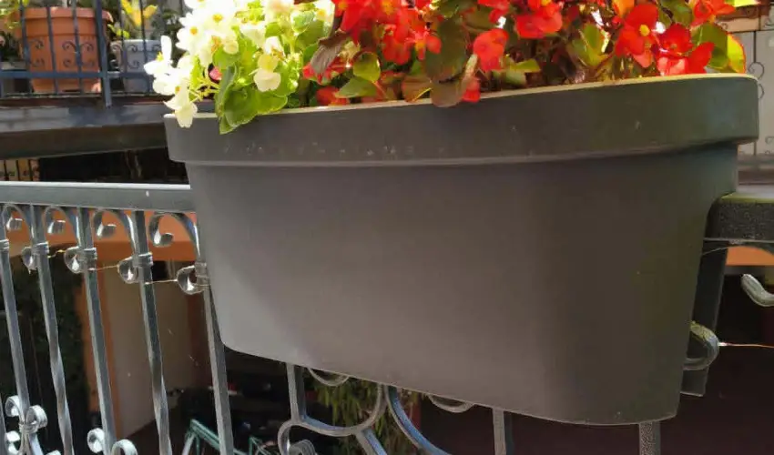 Hotel Isabell Gy�r - H�sv�t 
