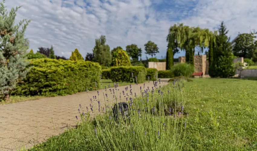 Hotel Karos Spa Zalakaros - Hsvt 