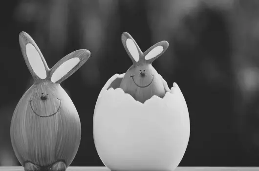 Hotel Korona Wellness, Rendezvny & Borhotel Eger - Hsvt