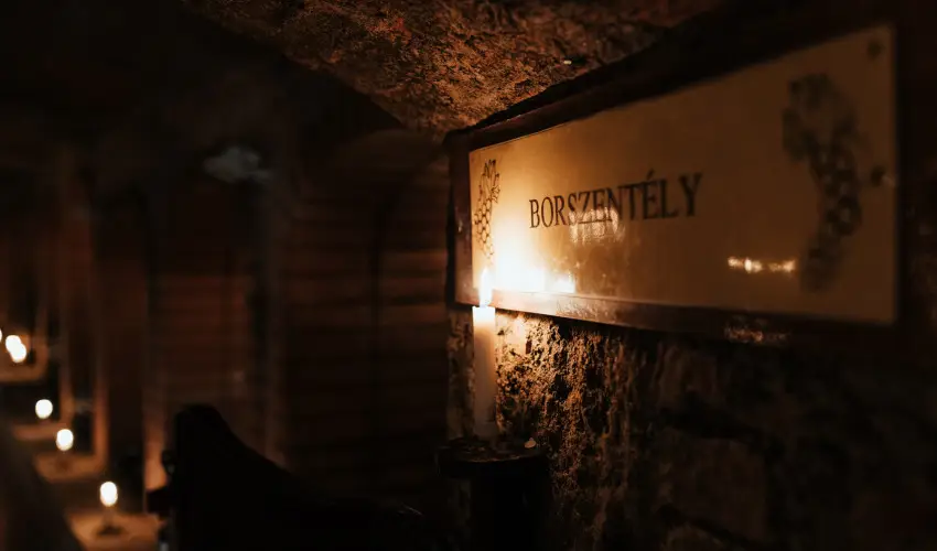 Hotel Korona Wellness, Rendezv�ny & Borhotel Eger Eger - H�sv�t