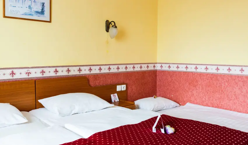 Hotel Korona Wellness, Rendezv�ny & Borhotel Eger Eger - H�sv�t