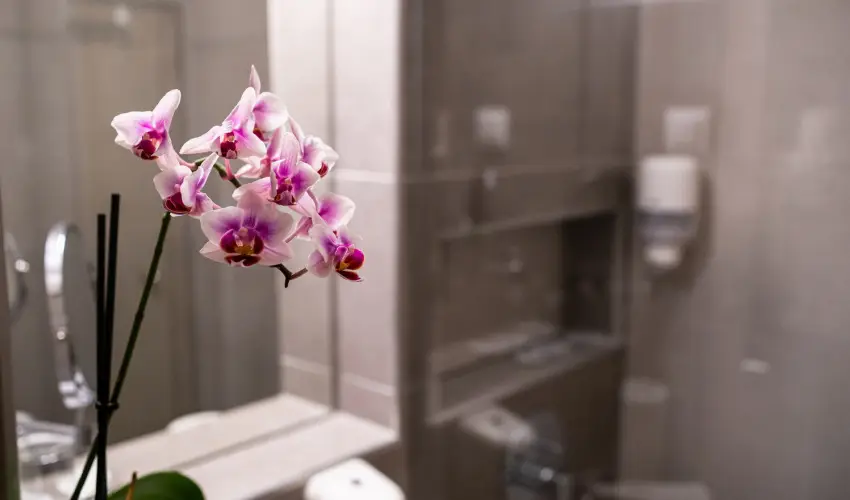 Hotel Margarta Balatonfred - Hsvt (min. 2 j)