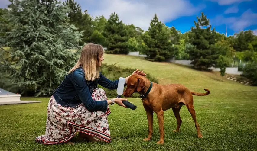 Sndor Hotel Pcs - Hsvt