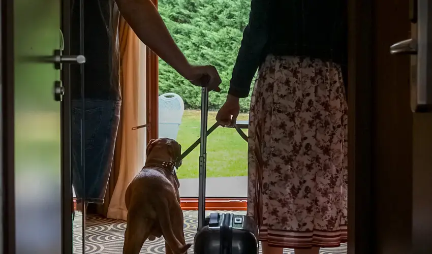 Sndor Hotel Pcs - Hsvt