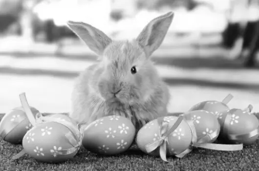 Park Hotel Minaret - Hsvt 