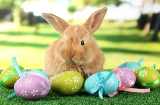 Park Hotel Minaret - Hsvt 