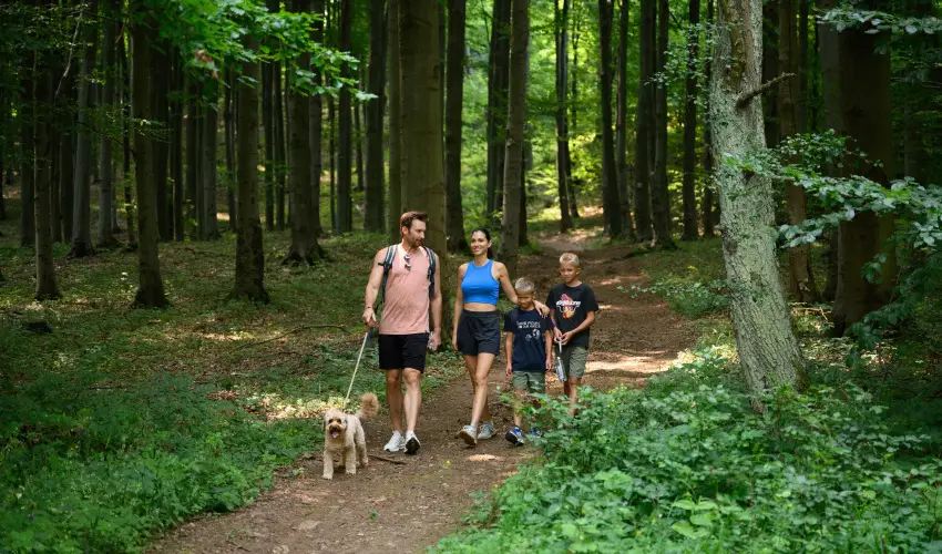 Hotel Nard Mtraszentimre - Hsvt