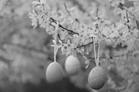 Hotel Ovit - Hsvt (min. 2 j)