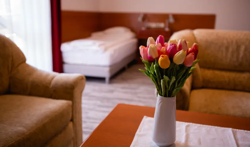 Hotel Ovit Keszthely - H�sv�t (min. 3 �j)