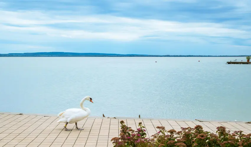 Hotel Ovit Keszthely - H�sv�t (min. 3 �j)