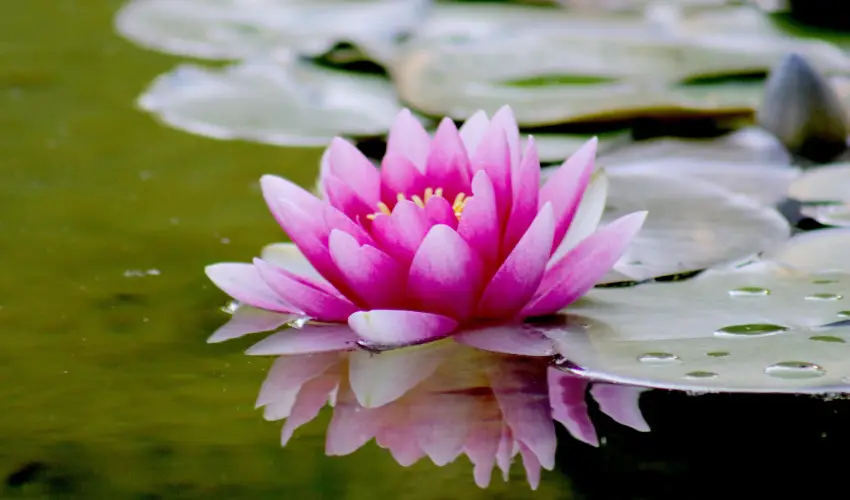 Hotel Ovit Keszthely - H�sv�t (min. 3 �j)