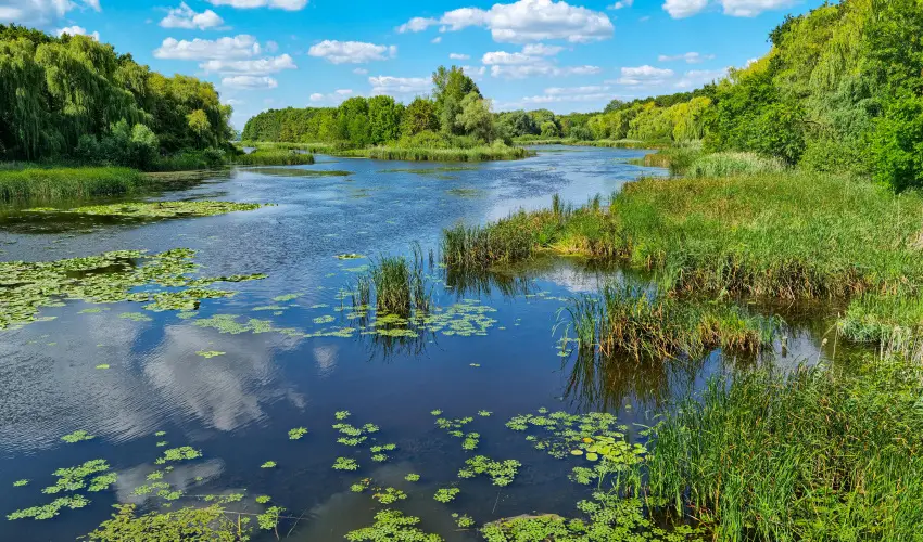 Hotel Ovit Keszthely - H�sv�t (min. 3 �j)