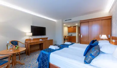 Palace Hotel  H�v�z