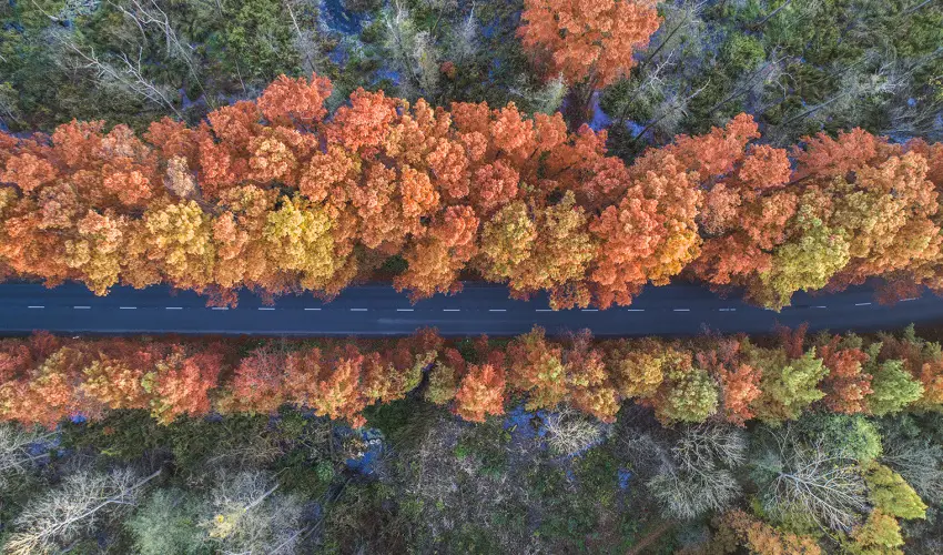 Hunguest Hotel Panor�ma H�v�z - H�sv�ti pihen�s H�v�zen, a Hunguest Panor�m�ban (min. 3 �j)