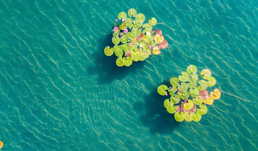 Hunguest Hotel Panor�ma H�v�z - H�sv�ti pihen�s H�v�zen, a Hunguest Panor�m�ban (min. 3 �j)