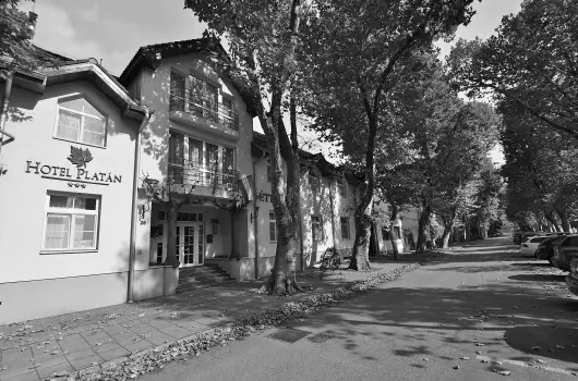 Hotel Platn Szkesfehrvr - Hsvt