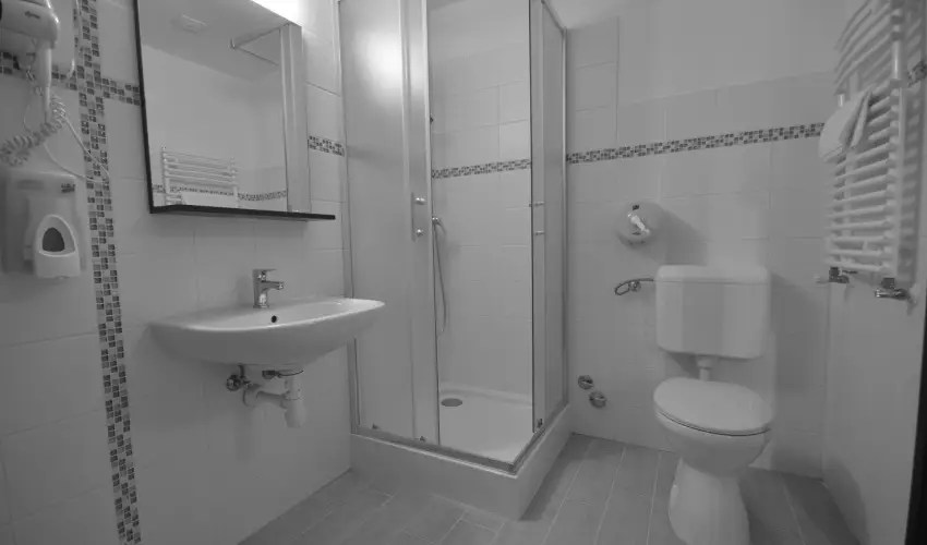 R�v�sz Hotel, �tterem & Rosa Spa Gy�r - H�sv�t 