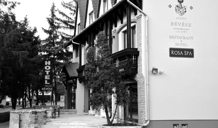 R�v�sz Hotel, �tterem & Rosa Spa Gy�r - H�sv�t 