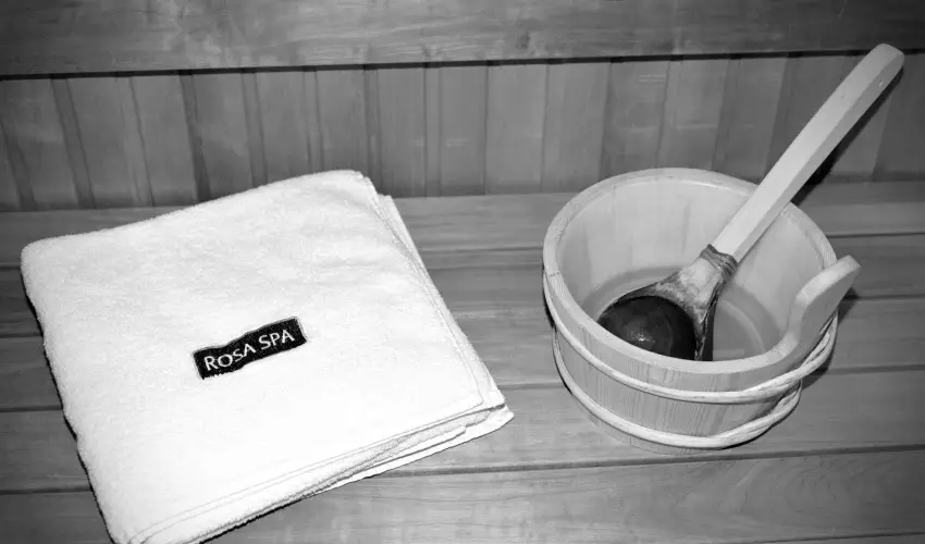 R�v�sz Hotel, �tterem & Rosa Spa Gy�r - H�sv�t 