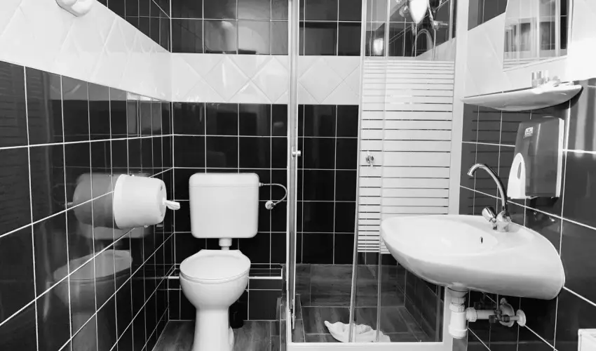 R�v�sz Hotel, �tterem & Rosa Spa Gy�r - H�sv�t 