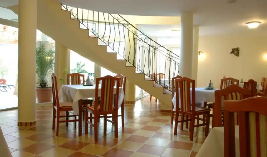 Sante Hvz Hvz - Hsvt