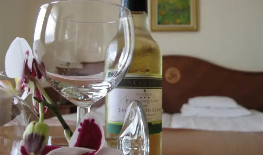 Sante Hvz Hvz - Hsvt