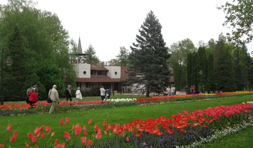 Sante Hvz Hvz - Hsvt