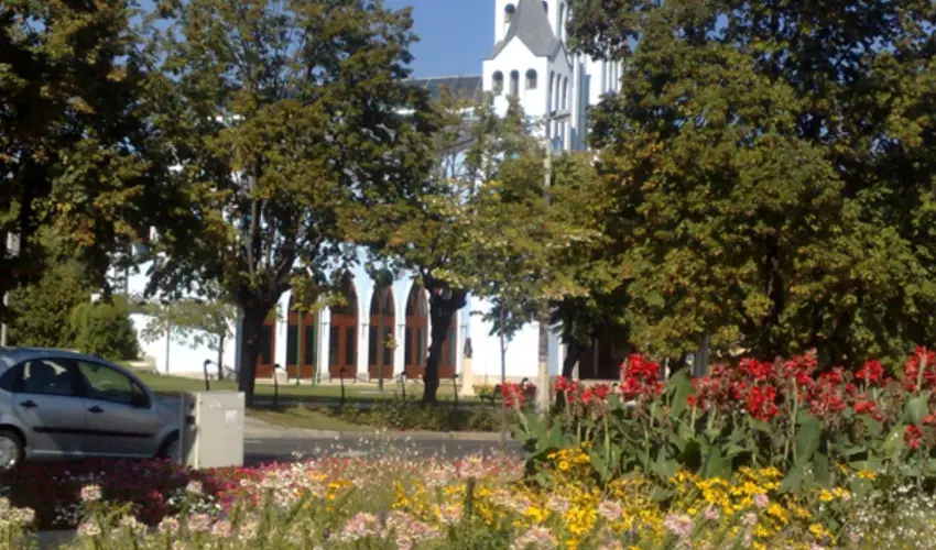 Sante Hvz Hvz - Hsvt