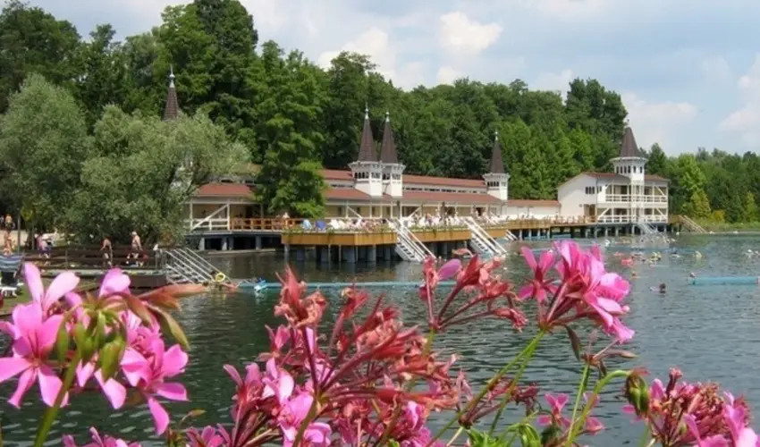 Sante Hvz Hvz - Hsvt