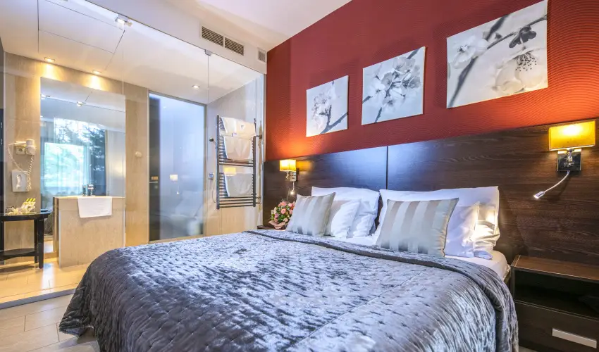 Hotel Stci Wellness & Konferencia Vecss - Bormmoros Hsvt (min. 3 j)