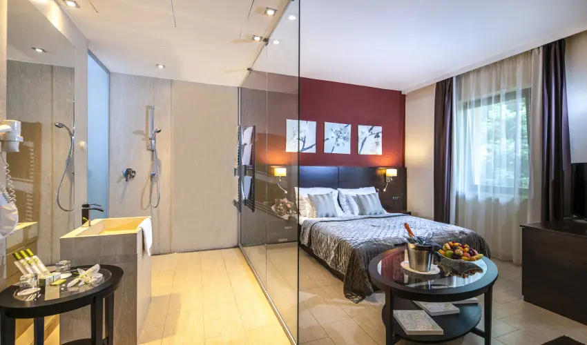 Hotel Stci Wellness & Konferencia Vecss - Bormmoros Hsvt (min. 3 j)