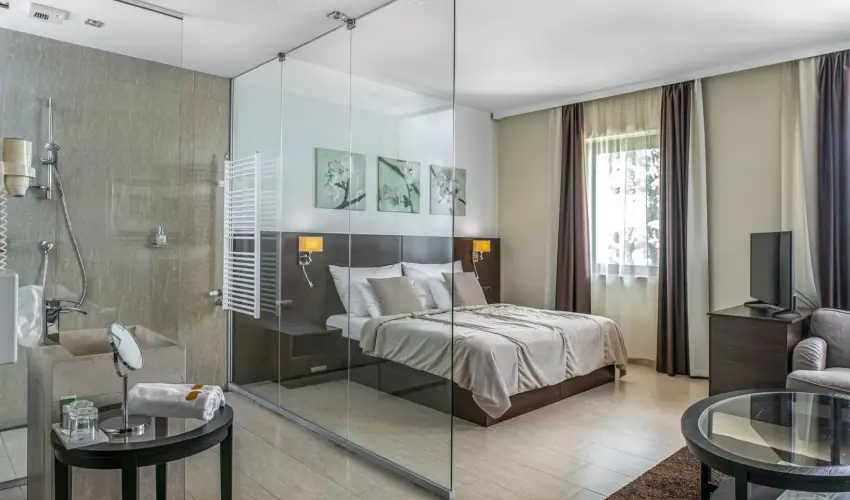 Hotel St�ci� Wellness & Konferencia Vecs�s - Borm�moros H�sv�t (min. 3 �j)
