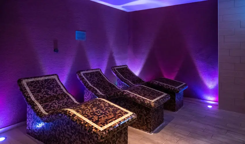 Hotel St�ci� Wellness & Konferencia Vecs�s - Borm�moros H�sv�t (min. 3 �j)
