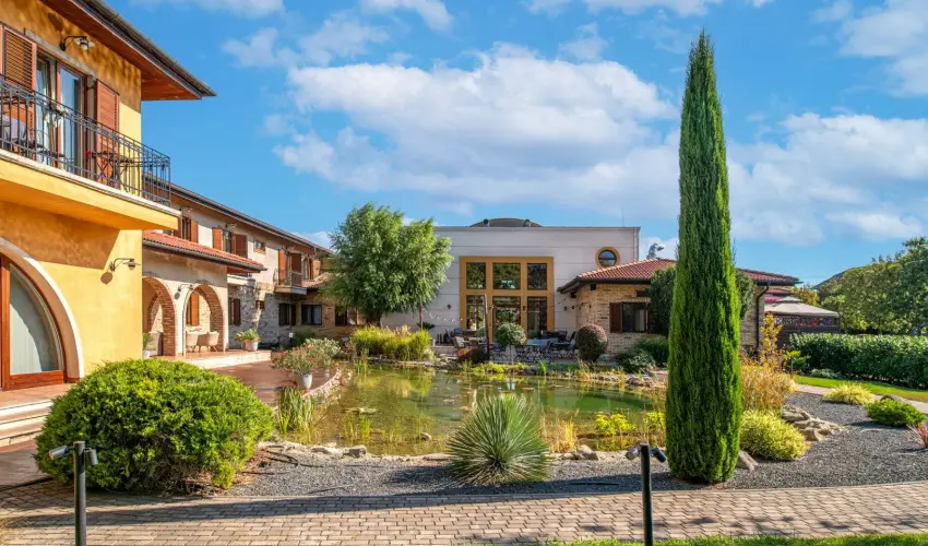 Hotel St�ci� Wellness & Konferencia Vecs�s - Borm�moros H�sv�t (min. 3 �j)