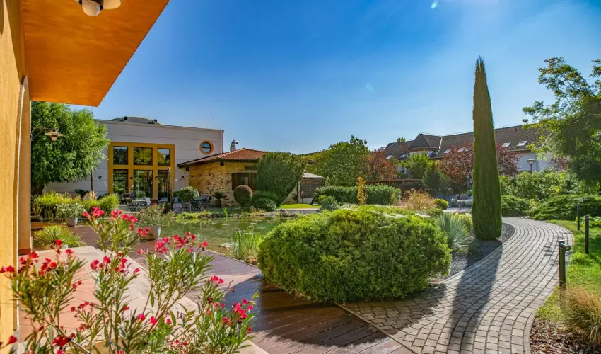 Hotel St�ci� Wellness & Konferencia Vecs�s - Borm�moros H�sv�t (min. 3 �j)