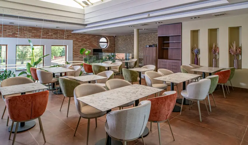 Hotel St�ci� Wellness & Konferencia Vecs�s - Borm�moros H�sv�t (min. 3 �j)