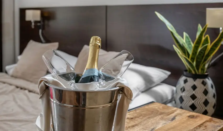 Hotel St�ci� Wellness & Konferencia Vecs�s - Borm�moros H�sv�t (min. 3 �j)