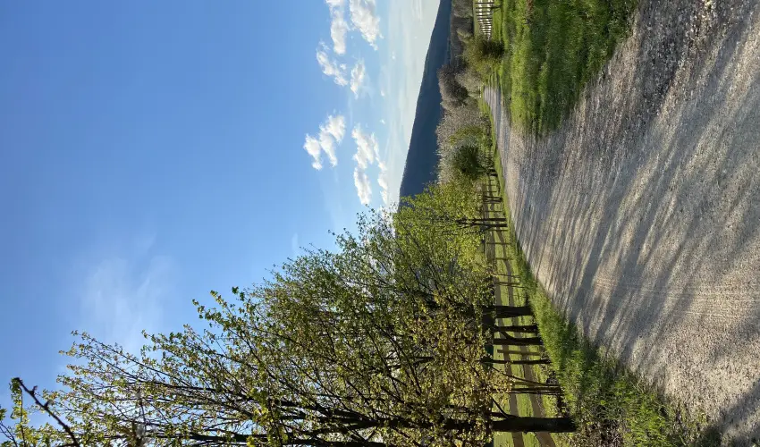 Hotel Szpalma Porva-Szpalmapuszta - Hsvt