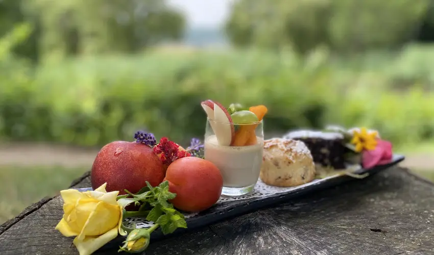 Hotel Szpalma Porva-Szpalmapuszta - Hsvt