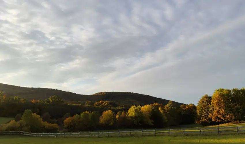 Hotel Sz�palma Porva-Sz�palmapuszta - H�sv�t (min. 3 �j)