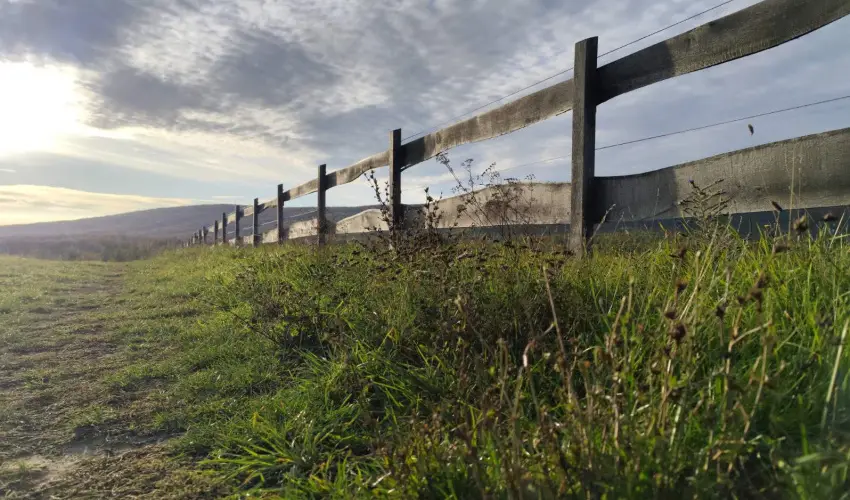 Hotel Sz�palma Porva-Sz�palmapuszta - H�sv�t (min. 3 �j)