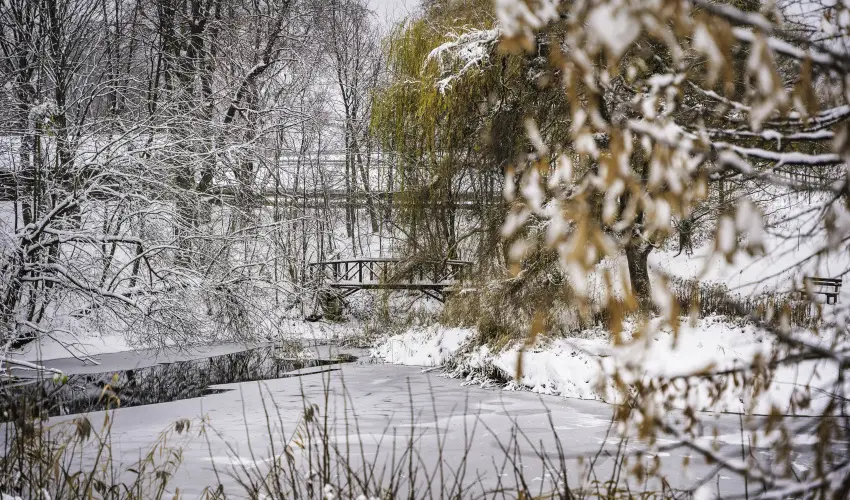 Hotel Sz�palma Porva-Sz�palmapuszta - H�sv�t (min. 3 �j)